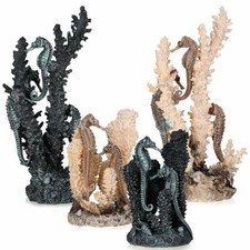 BIORB SEAHORSES ON CORAL