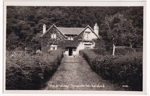 The biblings symonds - the,