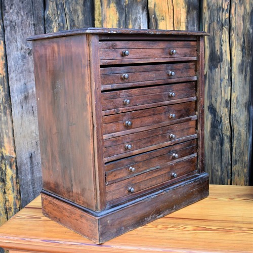 Antique 19th century specimen - 19th,