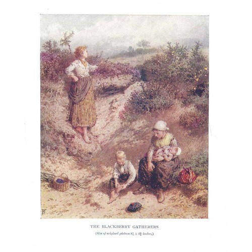 Myles birket foster blackberry - foster,