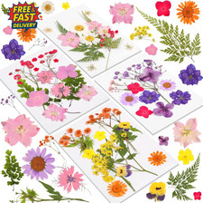 46 Pcs Dried Pressed Flowers