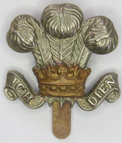 Royal wiltshire yeomanry - royal,