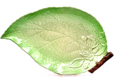 CARLTON WARE POTTERY Apple
