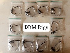 8 X Shark/Tope/Conger Traces