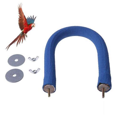 Shape parrot perch bird - perch,