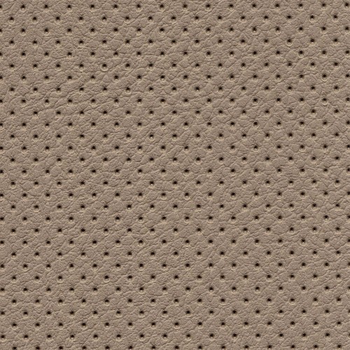 Perforated auto interior - perforated, fake