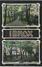 Ibrox, Glasgow near Govan. Bellahouston Park & Beech Avenue in Reliable Series.