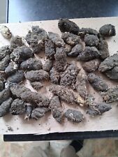Barn Owl Pellets, from wild birds. At least 20 all recently collected.