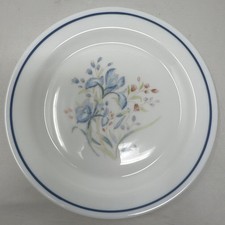 Vintage Pyrex Blue Iris Dinner