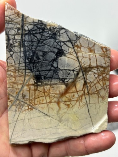 Picasso marble slab - (jasper),