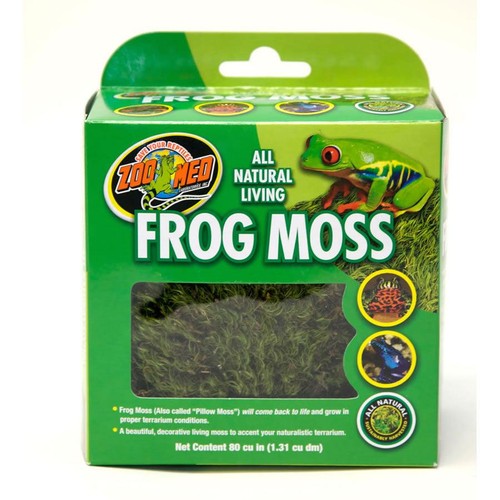 Zoo med frog moss - zoo,