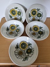 Vintage Biltons Staffordshire