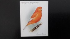 J. PLAYER  1935.  AVAIRY  AND CAGE   BIRDS.  N0 1. NORWICH  CANARY.  1 OF 25.