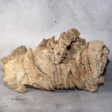 Japanese Antique Tokoname Kiln