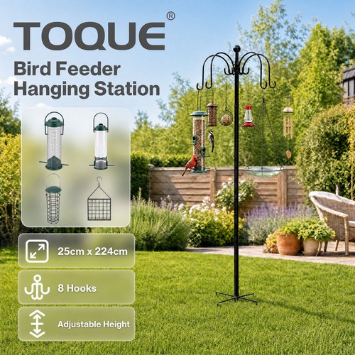 Toque complete bird feeding - bird,