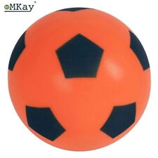 eMKay® 20cm ORANGE Sponge