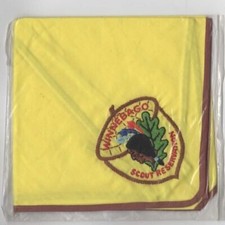 Winnebago lodge 453 scout - lodge,