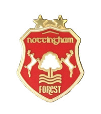 NOTTINGHAM FOREST COA SHIELD SOUVENIR HARD PIN BADGE FREE 48HR TRACKED POST