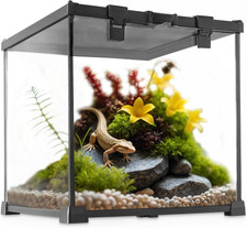 Mini Reptile Glass Terrarium