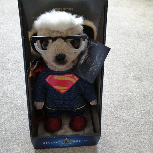 New meerkat sergei - sergei, superman