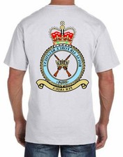 Royal Air Force Regiment