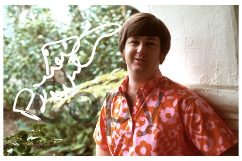 Brian wilson 6x4 signed - wilson,