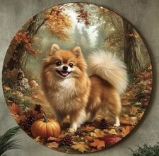 POMERANIAN Dog Lover LARGE