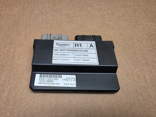 Triumph street triple - 675, ecu