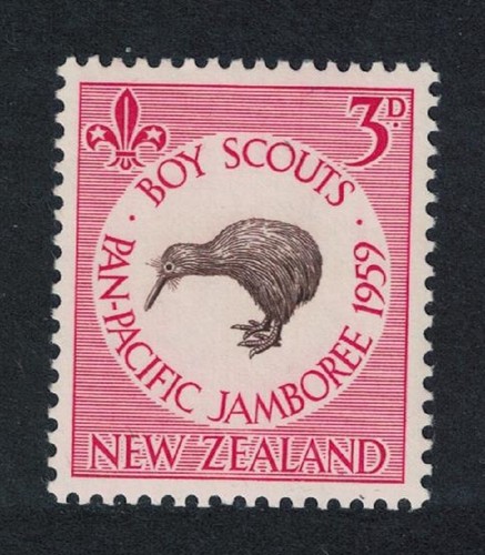 Kiwi bird scouts new - kiwi, zealand