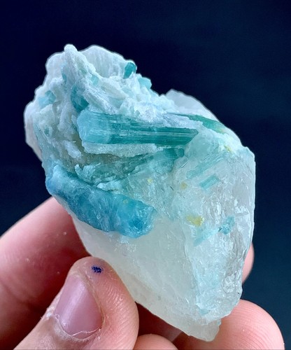 251 carat tourmaline crystal - ,