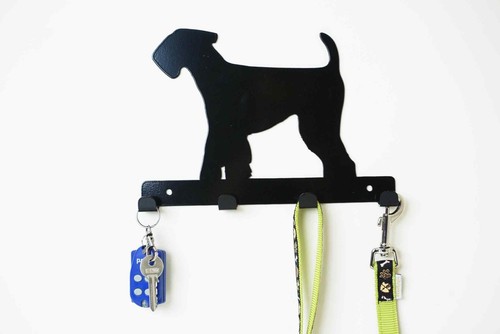 Airedale terrier dog - terrier,