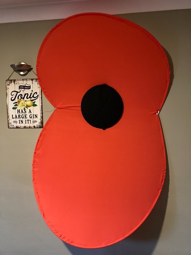 Giant pop poppy - poppy, for