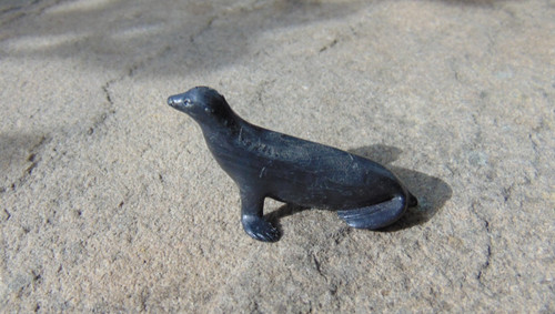 Britains seal safari park - britains,