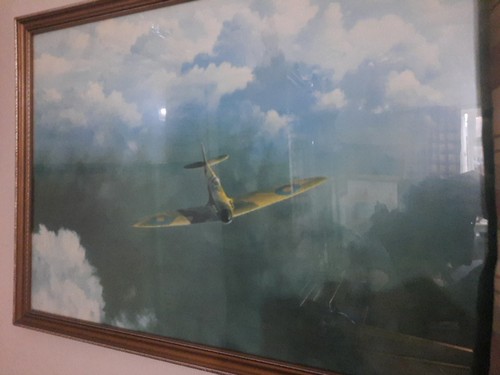 Framed aviation aircraft - aircraft, in