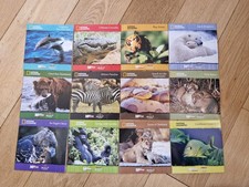 National Geographic Daily