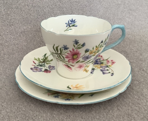 Shelley bone china wild - shelley,