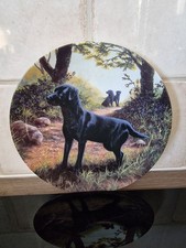 Wedgewood Bone China Plate "The Scout"Black Labrador Labrador Collection