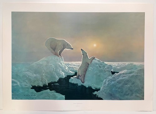 Polar rendezvous by gerald - rendezvous,,