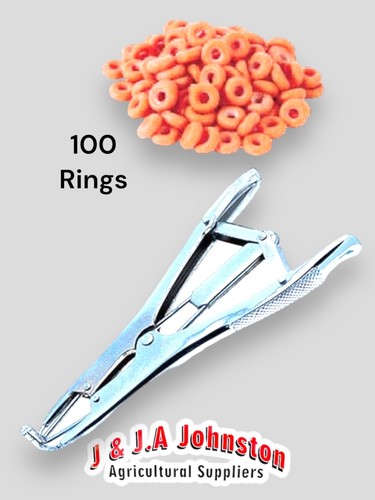 Lamb castrating ring - lamb,