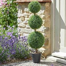 80cm Triple Topiary Tree