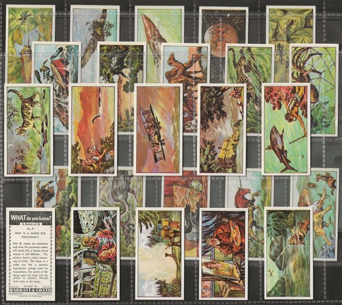 Barratt full set what - barratt-full, do