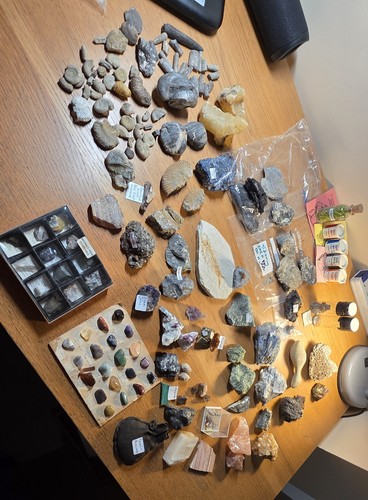 Fossil rock mineral - fossil,, rock,