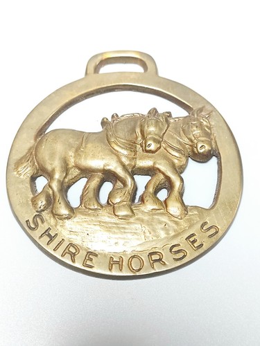 Vintage brass shire horses - vintage,