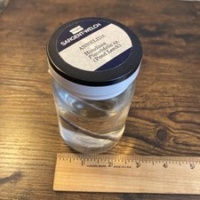 Wet Specimen Arthropoda