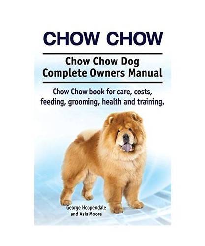 Chow - chow, dog