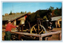 1954 Sawing Logs Horse