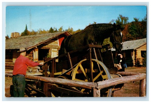 1954 sawing logs horse - sawing,