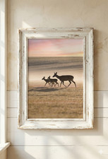 Roe Deer & Fawns Wall Art
