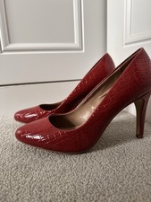 *BNWT* Women’s Animal 🐊