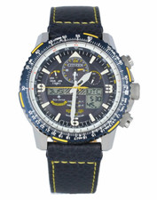 Citizen Blue Angels Men's